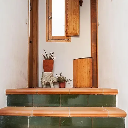 Ferienwohnung La Tahona De Max&Jan Conil De La Frontera Exterior foto